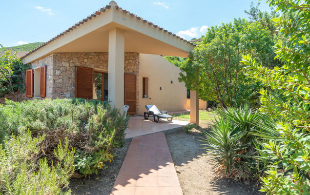 Lentischio - Photo 2