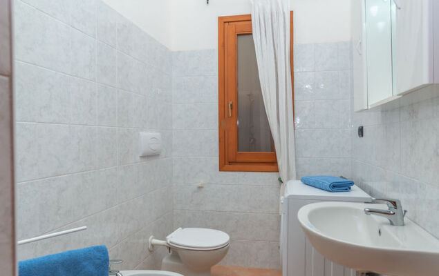 Corbezzolo - Photo 14