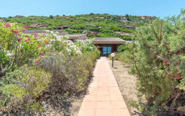 Corbezzolo - Photo 20