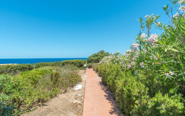 Corbezzolo - Photo 21