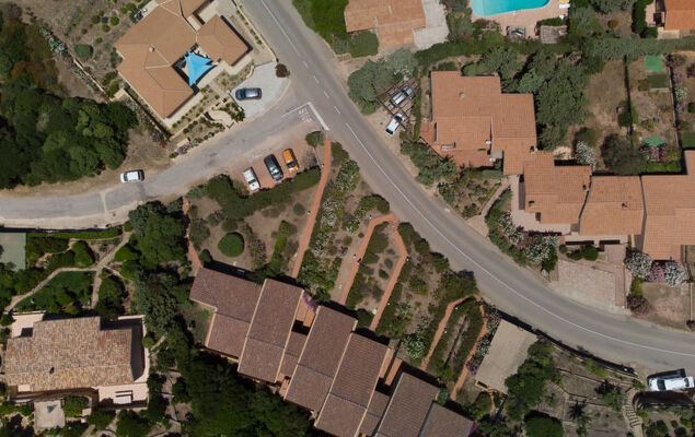 Corbezzolo - Photo 22