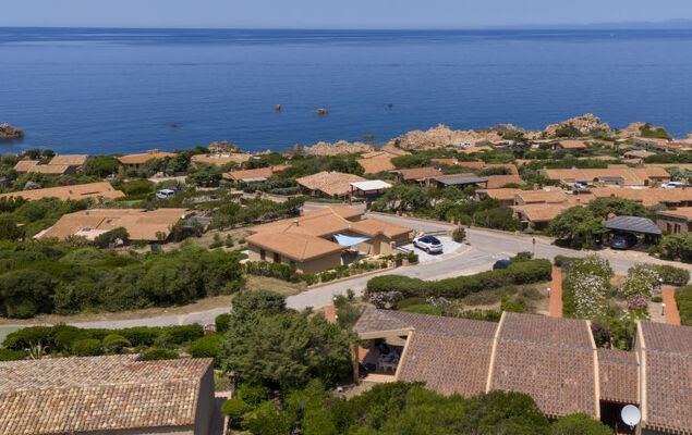 Corbezzolo - Photo 23